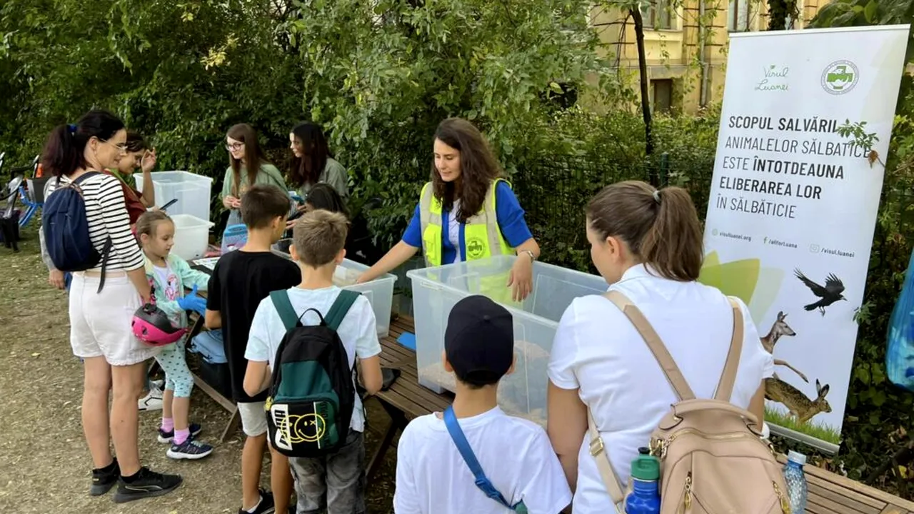 PENNY sprijină proiecte de biodiversitate urbană prin Runda IV a Platformei de mediu pentru București