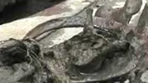 Schelet uman, descoperit într-un canal din Arad