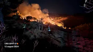 O persoană a murit în urma incendiilor de vegetaţie care se extind în suburbiile Atenei