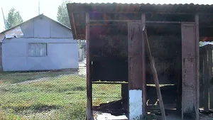 România, pe primul loc în topul ţărilor cu gospodării care au WC-urile în curte