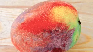 Mango ajută la regenerarea pielii
