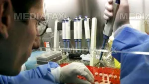 Academia Română va finanţa 213 de proiecte de cercetare cu peste 1,36 milioane lei