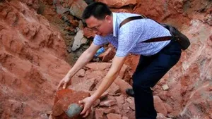 Peste 40 de ouă de dinozaur, descoperite pe un şantier din China - FOTO & VIDEO