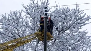 Unde și câte echipaje intervin pentru a remedia avariile din rețeaua electrică. Situația raportată după ședința Comandamentului Energetic Național