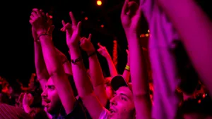 Cuţite şi furculiţe, confiscate de la participanţii la Festivalul Peninsula