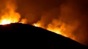 Franța: Incendiul de la Fontainebleau se extinde. Peste 800 de pompieri încearcă să stingă flăcările