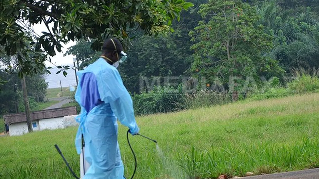AVERTISMENTUL Statelor Unite: Ebola s-ar putea propaga 