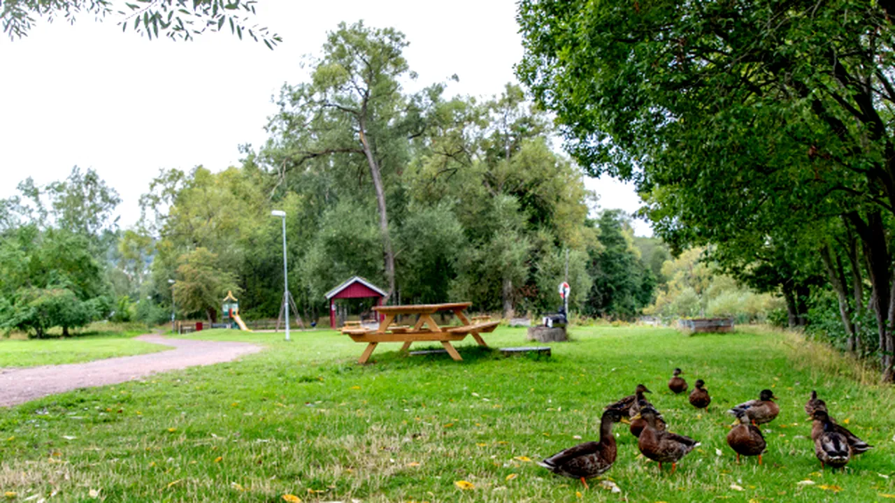 Doi adolescenţi din Suedia sunt suspectaţi de uciderea unui om al străzii român/ Povestea tragică a lui Gică, care a ajuns cerşetor după ce şi-a pierdut locul de muncă