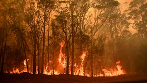 Incendii de vegetaţie la periferia oraşului Atena / Mai multe localităţi au fost evacuate