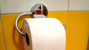 Furt din toaletele Ministerului german de Interne, după un incident similar la sediul spionajului