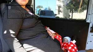 Arad: Gemene de 7 luni, găsite de poliţie în Vama Nădlac ascunse sub o pătură într-un microbuz