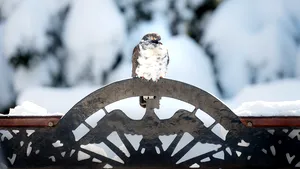 Vremea va fi deosebit de rece. PROGNOZA METEO pentru Sâmbătă şi Duminică