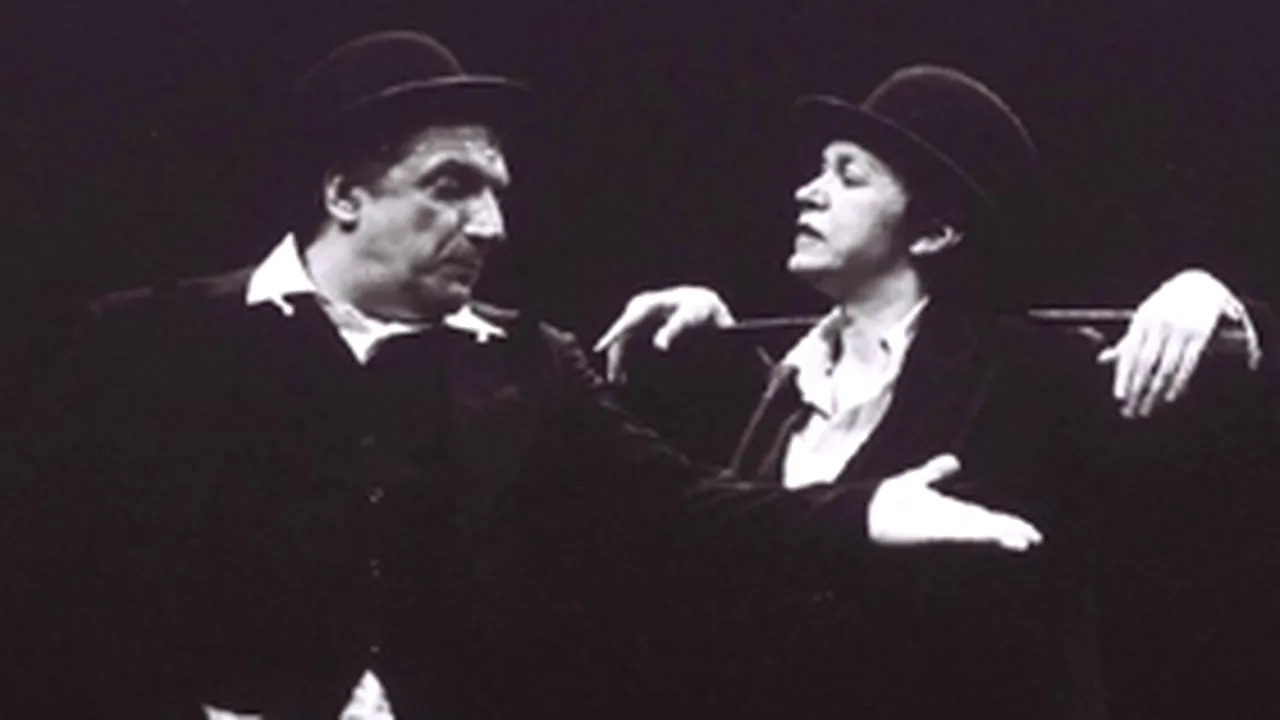 Teatru românesc cu Oana Pellea şi Sandu Mihai Gruia - la Paris, de Ziua Europei