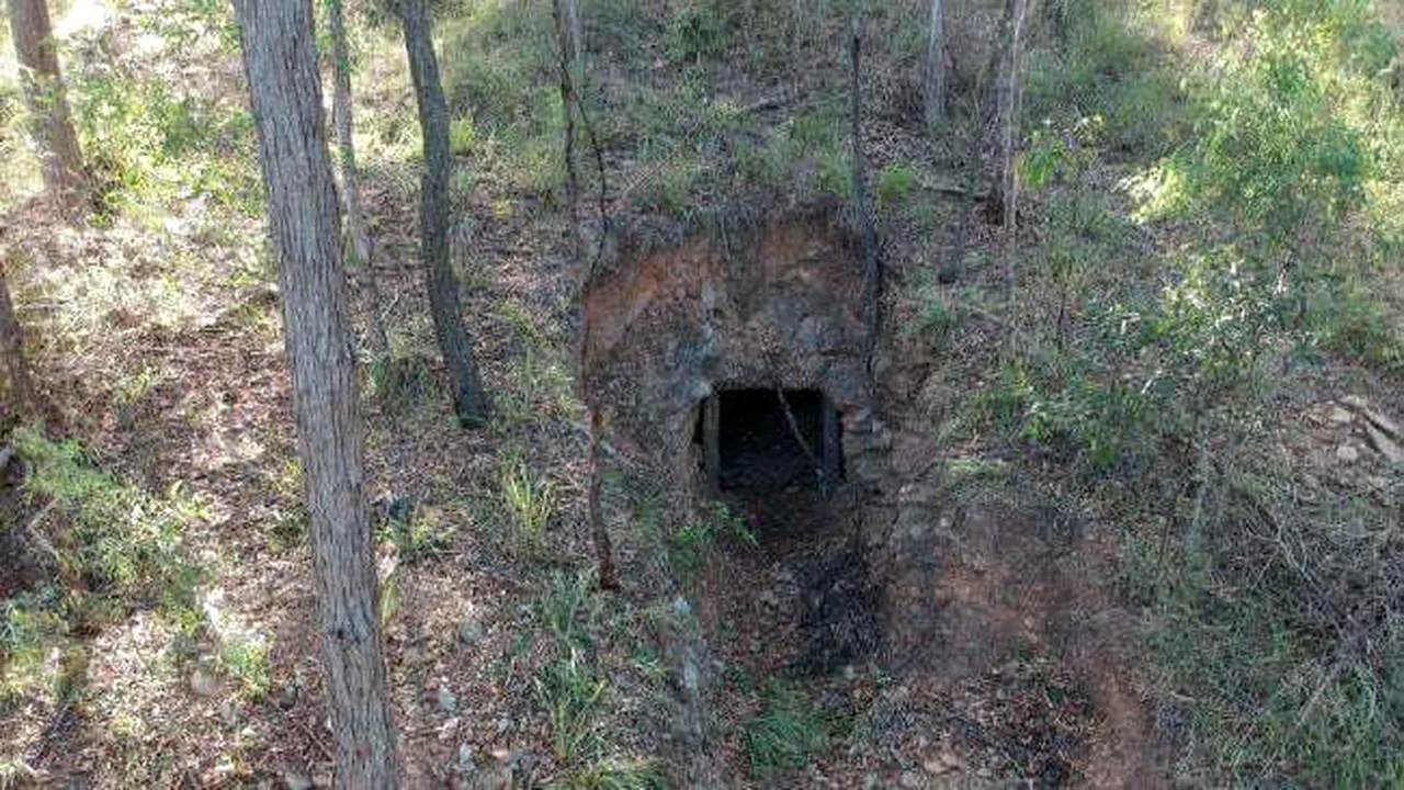 Surpriza din curtea casei: Mina de aur din grădină/ 
