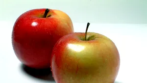 Elevii din clasele I-VIII vor primi mere la şcoală