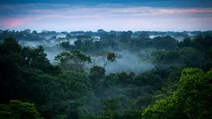 Brazilia deschide pentru minerit o zonă din rezervaţia naţională din AMAZON. Ce zăcământ vrea să exploateze cel mai mare stat din America de Sud