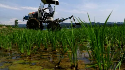 AGRICULTURĂ Financial Times: după criza petrolului, vine criza alimentară. Prețurile îngrășămintelor au crescut brusc. Iran este unul dintre cei mai mai producători din lume