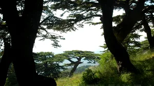 Argeş - Localnici se plâng că o firmă de prospecţiuni a intrat abuziv pe terenurile lor: 