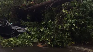 FOTO, VIDEO | Doi oameni, BLOCAŢI în maşină în Sinaia/ Grindină de mărimea oului de prepeliţă în Teleorman. Mii de oameni fără curent în Argeş, inundatii în Prahova şi Dâmboviţa