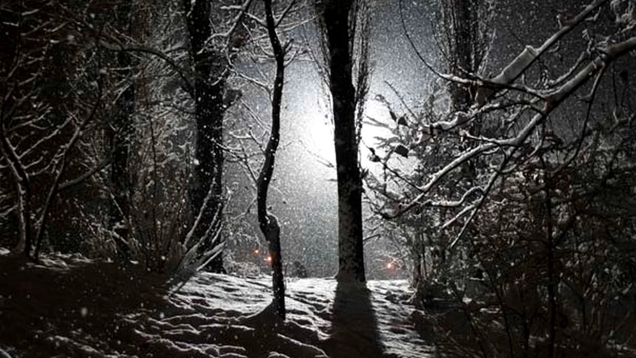 Maramureş: Intervenţie pentru salvarea a şapte persoane surprinse de avalanşe pe un drum forestier