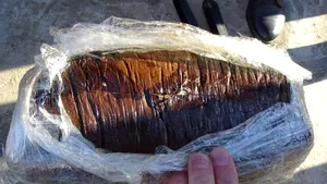 Peste 38 de kilograme de opiu, descoperite ascunse în două grătare metalice, la Calafat