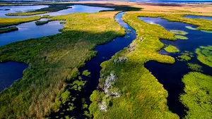 Aproape 50 de milioane de euro din PNRR, pierduți. Proiectele pentru Delta Dunării au rămas pe hârtie
