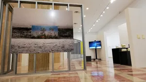 ”Specii de Spaţii” din colecţia de artă contemporană a unei companii franceze, în sălile MNAR | FOTO