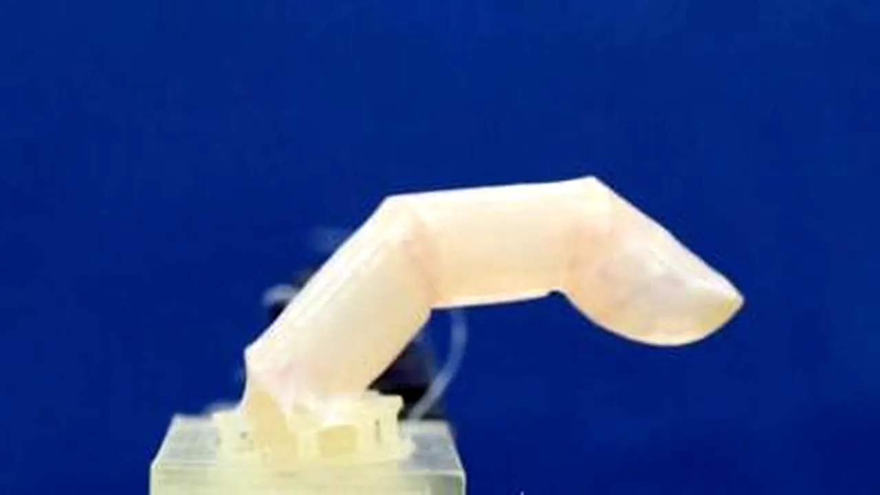 Japonia a dezvoltat un deget-robot acoperit cu piele umană „vie”

