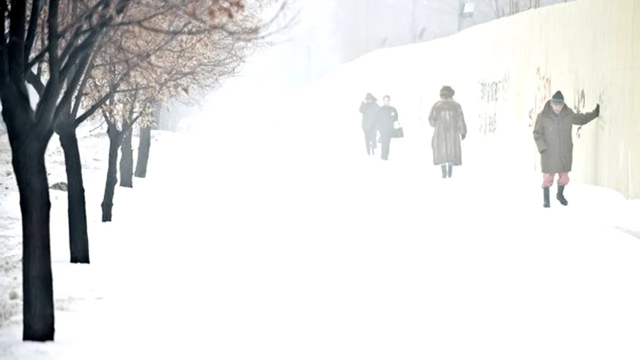 PROGNOZA METEO: Ninsori, polei şi vânt. Cum va fi vremea vineri, în ţară şi la munte