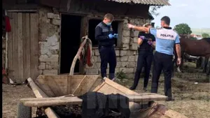 Premieră la Suceava: Doi bărbaţi, cercetaţi pentru maltratarea unui cal