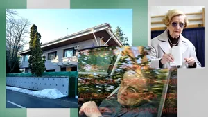 EXCLUSIV. Suma uriașă cu care ar putea fi vândută vila din Primăverii în care locuiește Nina Iliescu. Ar putea face profit de 430,00%