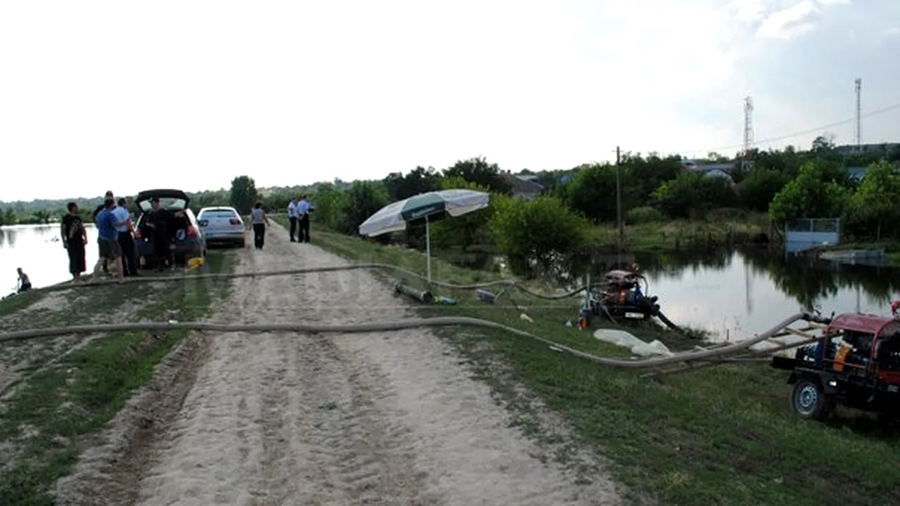 Călăraşi: 18 localităţi afectate de creşterea cotelor apelor Dunării şi ale braţului Borcea - FOTO