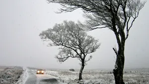 ANM anunţă că Moldova va fi sub cod galben de vânt