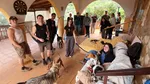 Fără chirie, cu piscină și internet în Spania. Ce trebuie să faci pentru a locui gratuit în apropiere de Valencia
