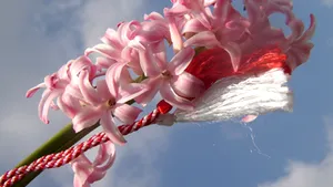 Mărţişorul românesc, sărbătorit de la Beijing până la Canberra (Video)