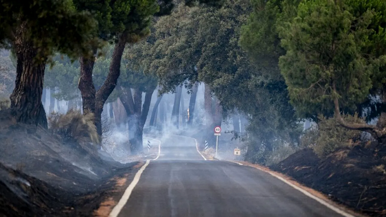 Industria afectată de incendiile devastatoare din Spania: fumul îndepărtează turiștii