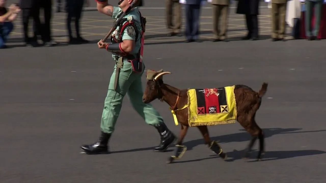 „Capra Legiunii Spaniole”. De ce defilează acest animal la parada militară de Ziua Națională?