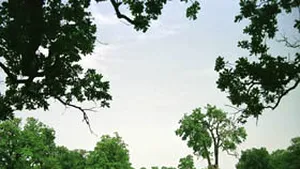 SUA şi Arabia Saudită, cel mai puţin preocupate de mediul înconjurător