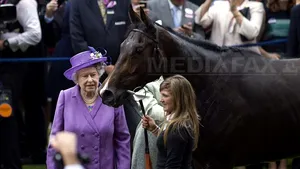 Calul Reginei Elisabeta a II-a, testat pozitiv la un test doping