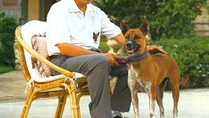 Internaut urmărit în justiţie în Thailanda pentru lipsă de respect faţă de câinele regelui