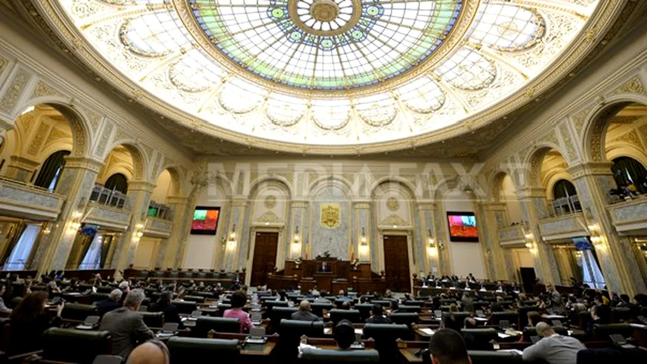 Senatul se pronunţă marţi pe abrogarea articolului din Codul penal despre 