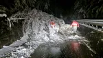 Mai mulți arbori căzuţi pe carosabil sub greutatea zăpezii