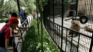 Poliţia a început o anchetă la Grădina Zoologică din Braşov