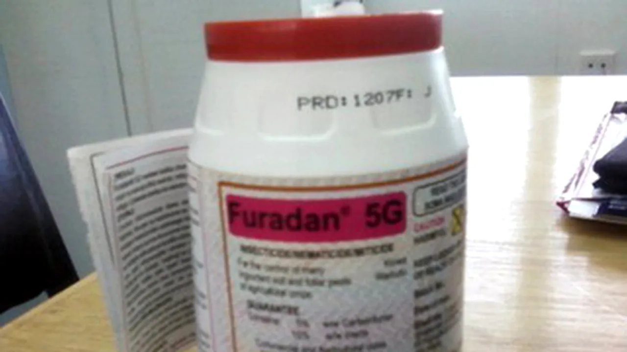 Bărbatul care a vândut Furadanul cu care s-a sinucis Mădălina Manole, eliberat din arest