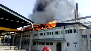 Un incendiu puternic a izbucnit la o fabrică de prelucrare a lemnului din judeţul Mehedinţi