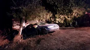 Accident GRAV în Teleorman: Doi tineri, de 24 şi 25 de ani, au murit. Un adolescent este în stare critică | FOTO