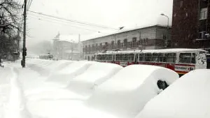 COM: Iarna de-adevărat, mereu un timp care ne zăpăceşte