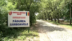 Taberele din Gârboavele şi Buciumeni, bucuria elevilor de altădată, au ajuns nişte ruine. De ce este nevoie pentru a reintra în circuitul turistic | GALERIE FOTO