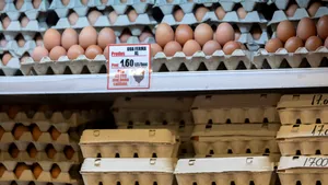 Locul din frigider unde nu trebuie păstrate ouăle, mai ales vara. Greșeala făcută de mulți români