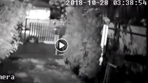 IMAGINI din timpul cutremurului. Seismul, surprins pe camerele de supraveghere. VIDEO postate în mediul online